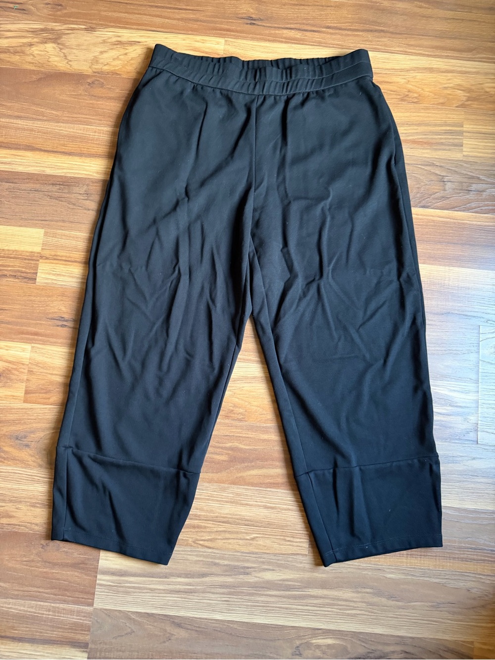 Eileen Fisher Black Tencel Stretch Wide Leg Balloon Pants – Large Petite
